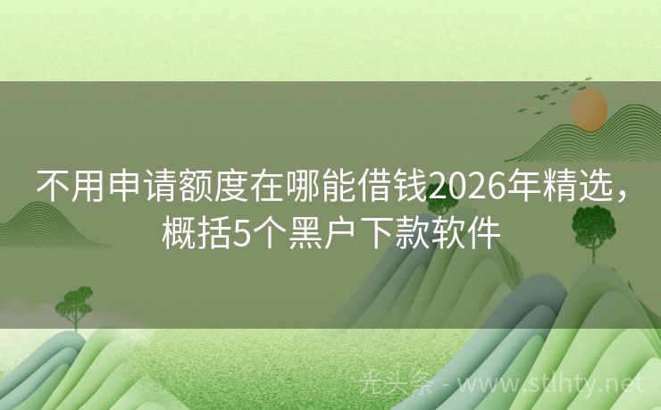 不用申请额度在哪能借钱2026年精选，概括5个黑户下款软件