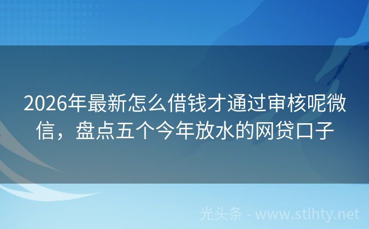 2026年最新怎么借钱才通过审核呢微信，盘点五个今年放水的网贷口子