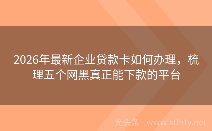 2026年最新企业贷款卡如何办理，梳理五个网黑真正能下款的平台