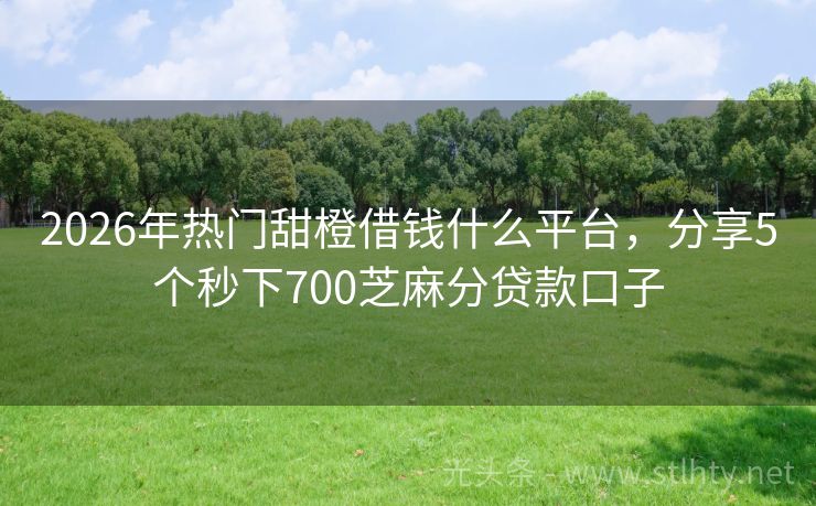2026年热门甜橙借钱什么平台，分享5个秒下700芝麻分贷款口子