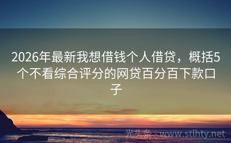 2026年最新我想借钱个人借贷，概括5个不看综合评分的网贷百分百下款口子