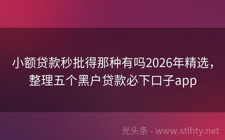小额贷款秒批得那种有吗2026年精选，整理五个黑户贷款必下口子app