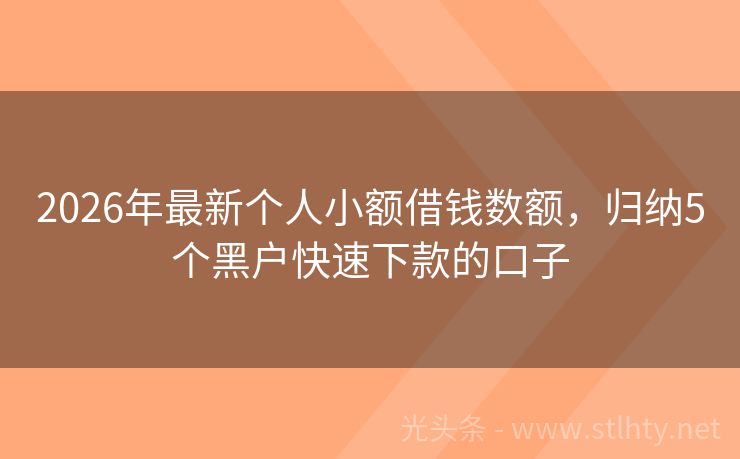 2026年最新个人小额借钱数额，归纳5个黑户快速下款的口子