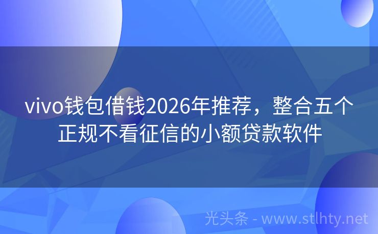 vivo钱包借钱2026年推荐，整合五个正规不看征信的小额贷款软件