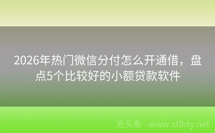 2026年热门微信分付怎么开通借，盘点5个比较好的小额贷款软件