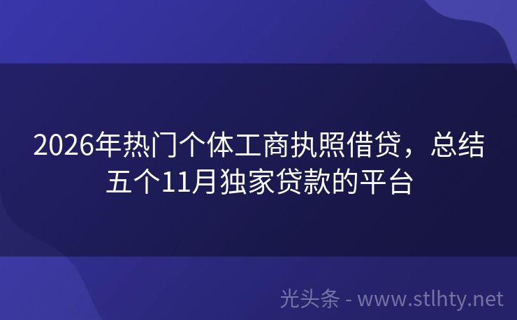 2026年热门个体工商执照借贷，总结五个11月独家贷款的平台