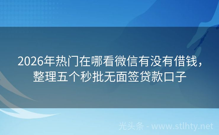 2026年热门在哪看微信有没有借钱，整理五个秒批无面签贷款口子