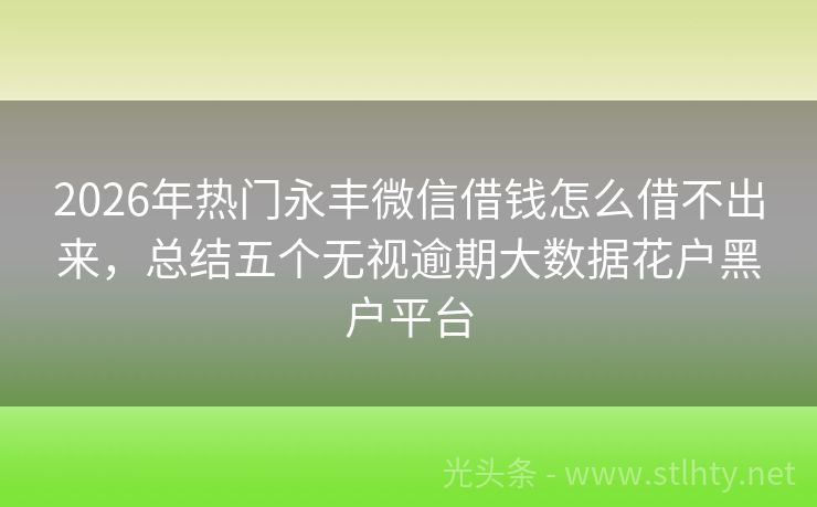 2026年热门永丰微信借钱怎么借不出来，总结五个无视逾期大数据花户黑户平台