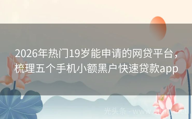 2026年热门19岁能申请的网贷平台，梳理五个手机小额黑户快速贷款app