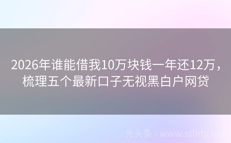 2026年谁能借我10万块钱一年还12万，梳理五个最新口子无视黑白户网贷