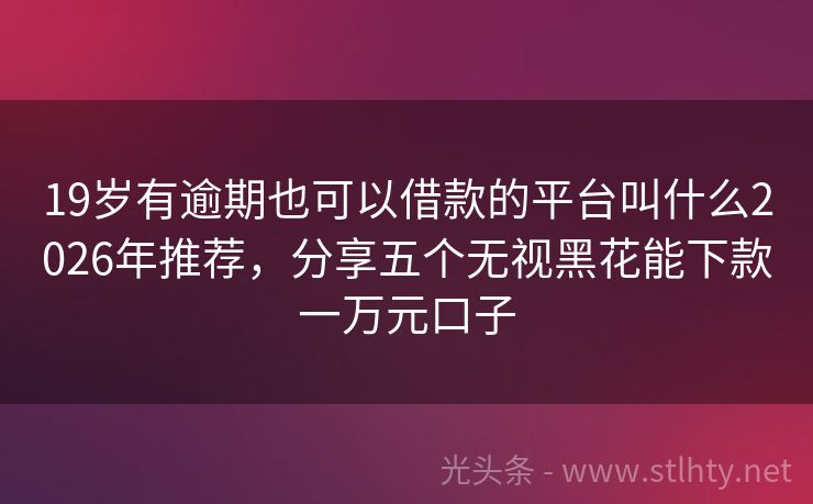 19岁有逾期也可以借款的平台叫什么2026年推荐，分享五个无视黑花能下款一万元口子
