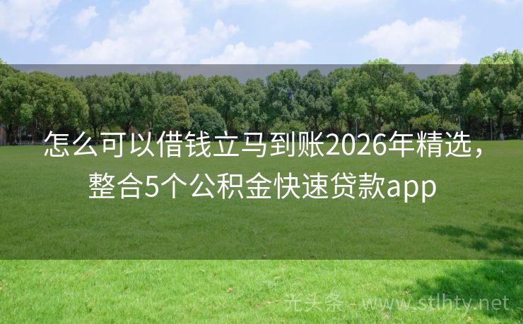 怎么可以借钱立马到账2026年精选，整合5个公积金快速贷款app