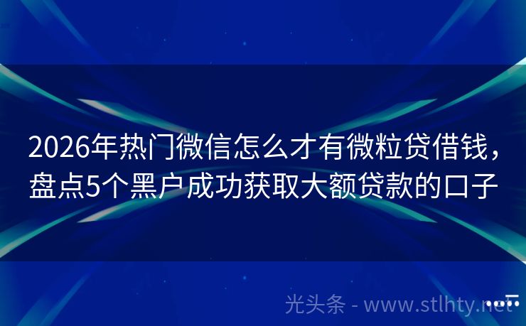 2026年热门微信怎么才有微粒贷借钱，盘点5个黑户成功获取大额贷款的口子