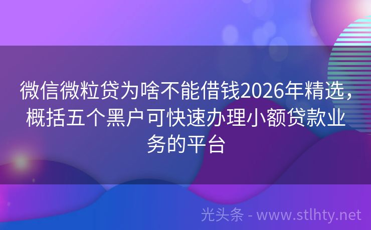 微信微粒贷为啥不能借钱2026年精选，概括五个黑户可快速办理小额贷款业务的平台