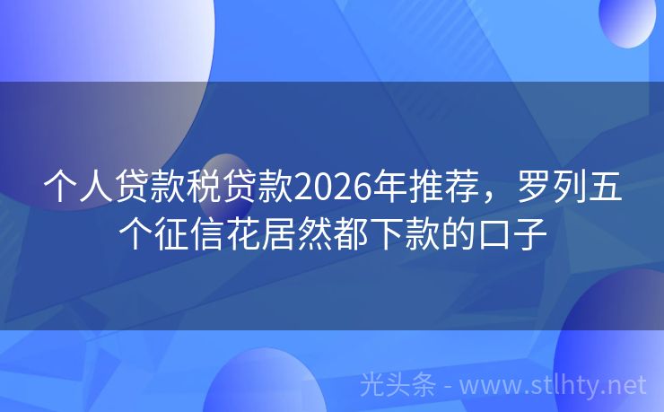 个人贷款税贷款2026年推荐，罗列五个征信花居然都下款的口子