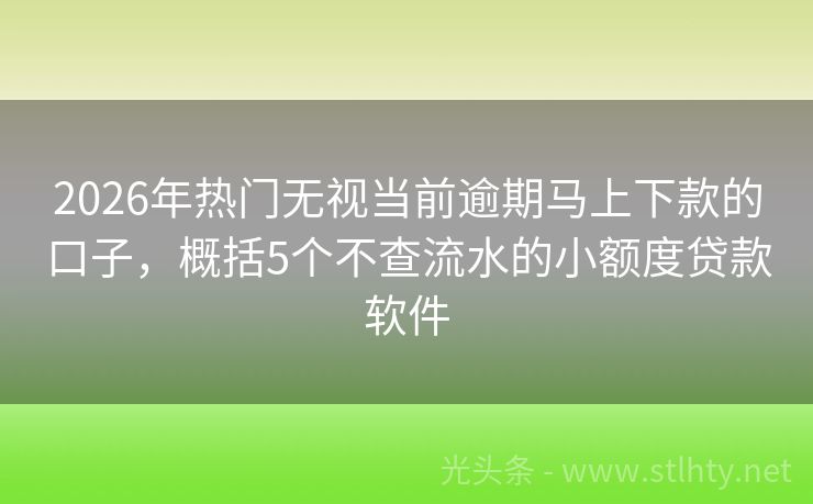2026年热门无视当前逾期马上下款的口子，概括5个不查流水的小额度贷款软件