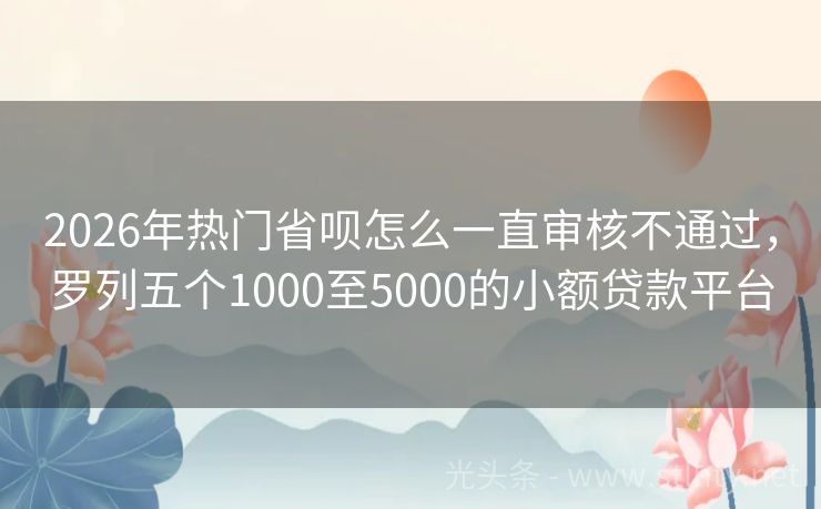 2026年热门省呗怎么一直审核不通过，罗列五个1000至5000的小额贷款平台