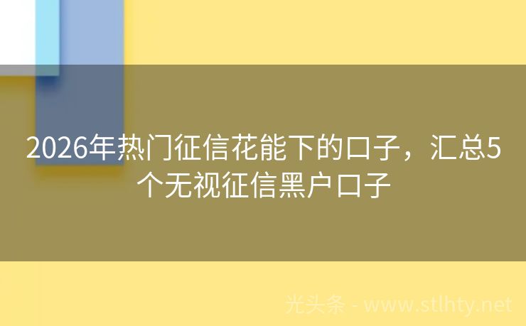 2026年热门征信花能下的口子，汇总5个无视征信黑户口子