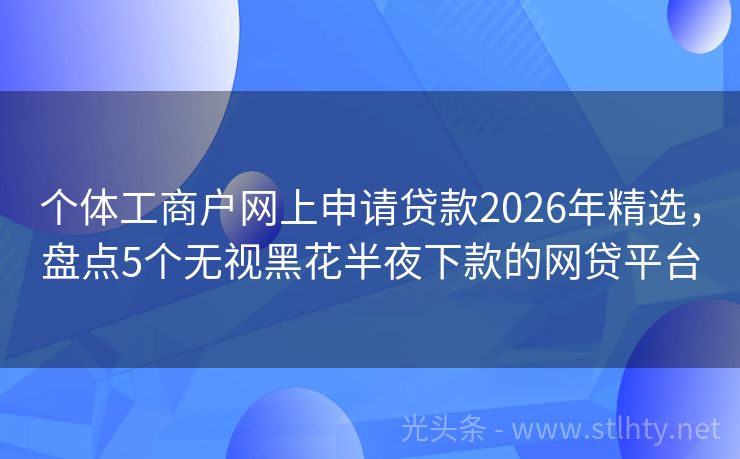 个体工商户网上申请贷款2026年精选，盘点5个无视黑花半夜下款的网贷平台