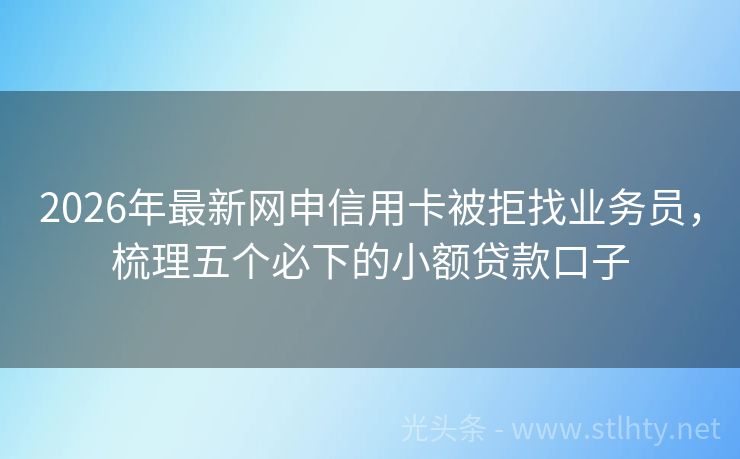 2026年最新网申信用卡被拒找业务员，梳理五个必下的小额贷款口子