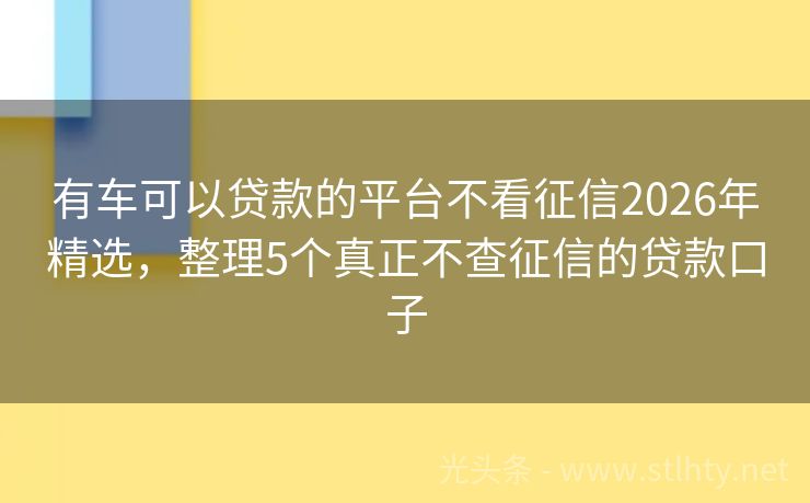 有车可以贷款的平台不看征信2026年精选，整理5个真正不查征信的贷款口子