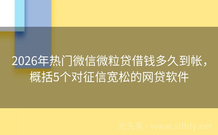 2026年热门微信微粒贷借钱多久到帐，概括5个对征信宽松的网贷软件