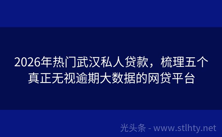 2026年热门武汉私人贷款，梳理五个真正无视逾期大数据的网贷平台