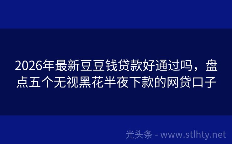 2026年最新豆豆钱贷款好通过吗，盘点五个无视黑花半夜下款的网贷口子