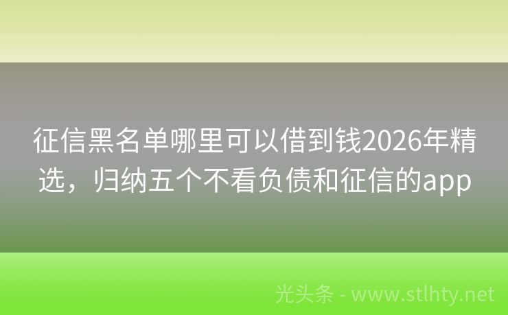 征信黑名单哪里可以借到钱2026年精选，归纳五个不看负债和征信的app