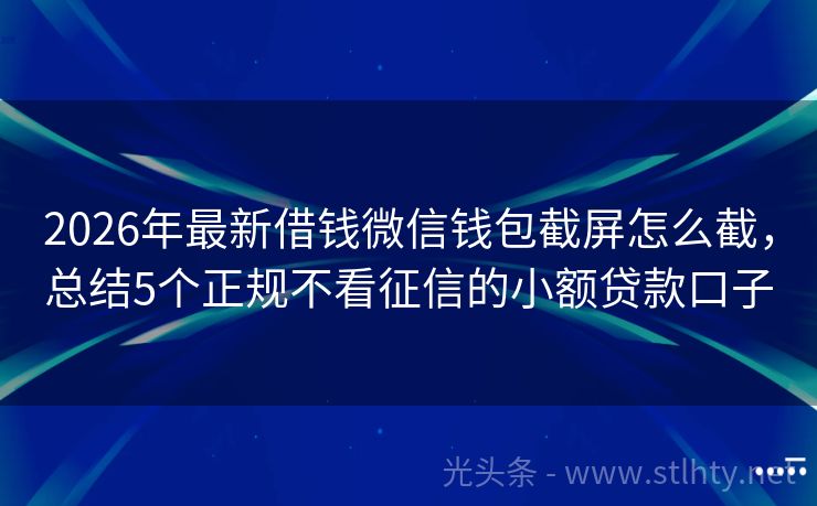 2026年最新借钱微信钱包截屏怎么截，总结5个正规不看征信的小额贷款口子