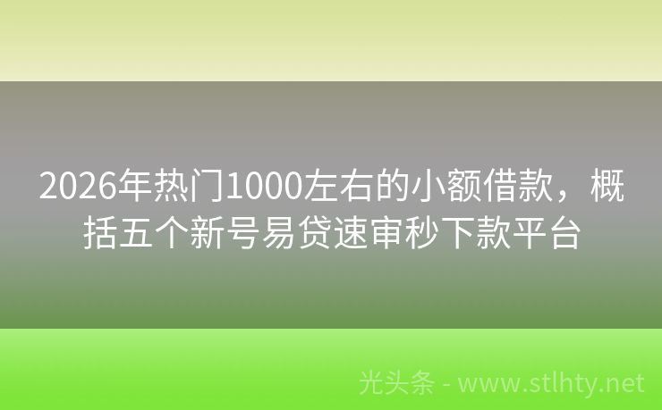 2026年热门1000左右的小额借款，概括五个新号易贷速审秒下款平台