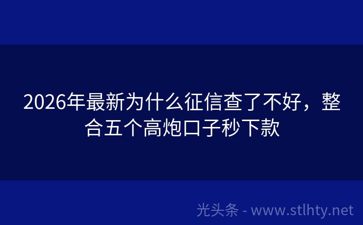 2026年最新为什么征信查了不好，整合五个高炮口子秒下款