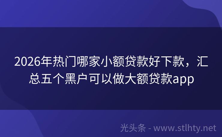 2026年热门哪家小额贷款好下款，汇总五个黑户可以做大额贷款app