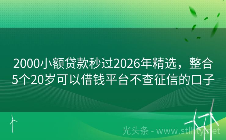 2000小额贷款秒过2026年精选，整合5个20岁可以借钱平台不查征信的口子