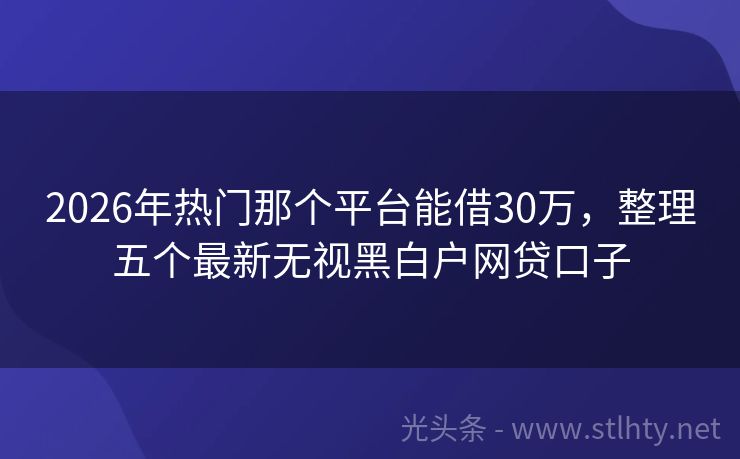 2026年热门那个平台能借30万，整理五个最新无视黑白户网贷口子