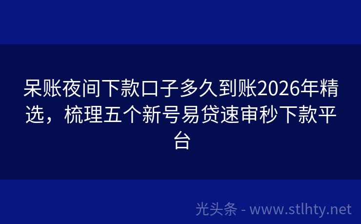 呆账夜间下款口子多久到账2026年精选，梳理五个新号易贷速审秒下款平台