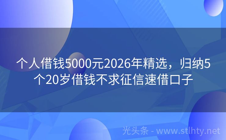 个人借钱5000元2026年精选，归纳5个20岁借钱不求征信速借口子