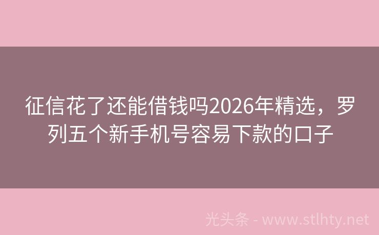 征信花了还能借钱吗2026年精选，罗列五个新手机号容易下款的口子