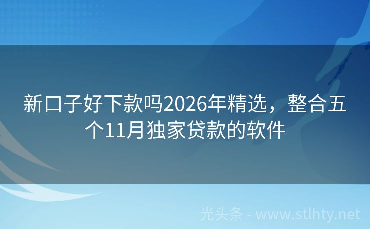 新口子好下款吗2026年精选，整合五个11月独家贷款的软件