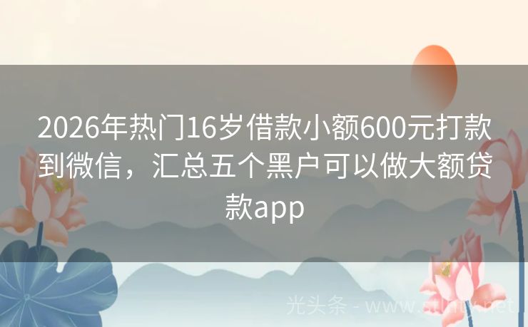 2026年热门16岁借款小额600元打款到微信，汇总五个黑户可以做大额贷款app