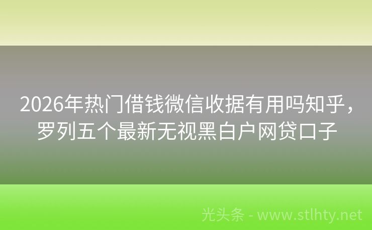2026年热门借钱微信收据有用吗知乎，罗列五个最新无视黑白户网贷口子