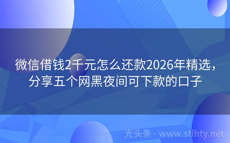 微信借钱2千元怎么还款2026年精选，分享五个网黑夜间可下款的口子
