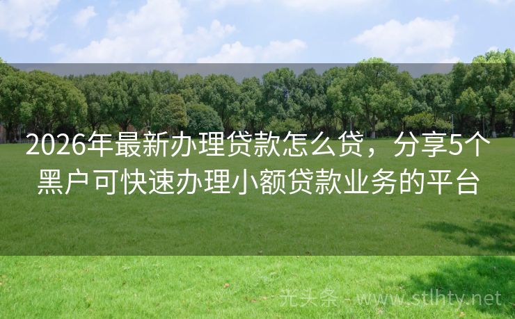 2026年最新办理贷款怎么贷，分享5个黑户可快速办理小额贷款业务的平台