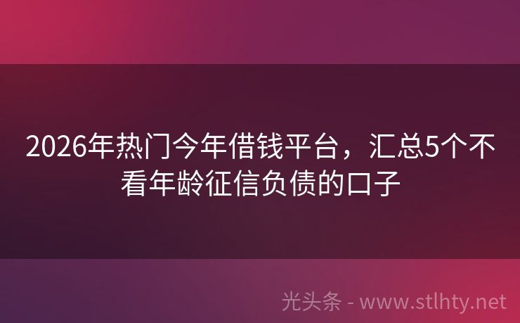 2026年热门今年借钱平台，汇总5个不看年龄征信负债的口子