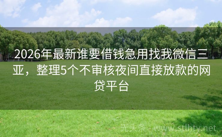 2026年最新谁要借钱急用找我微信三亚，整理5个不审核夜间直接放款的网贷平台