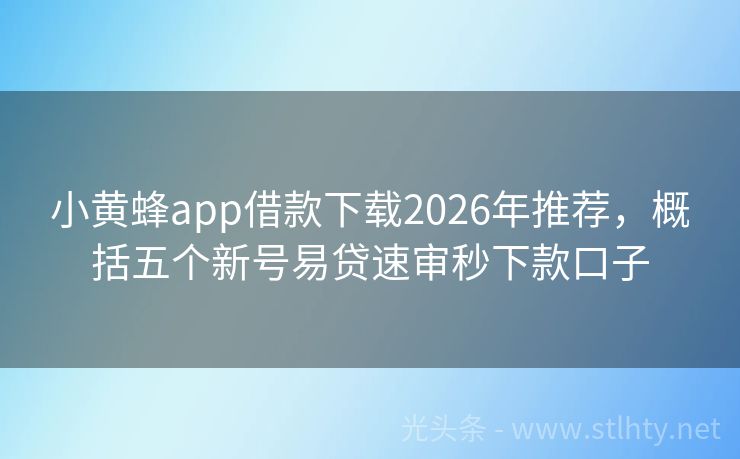 小黄蜂app借款下载2026年推荐，概括五个新号易贷速审秒下款口子