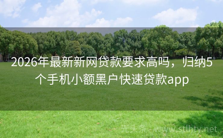 2026年最新新网贷款要求高吗，归纳5个手机小额黑户快速贷款app