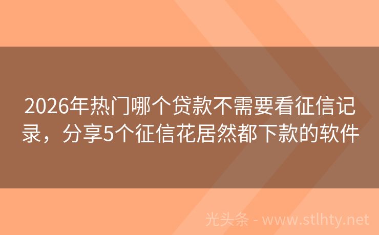 2026年热门哪个贷款不需要看征信记录，分享5个征信花居然都下款的软件