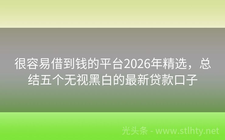 很容易借到钱的平台2026年精选，总结五个无视黑白的最新贷款口子