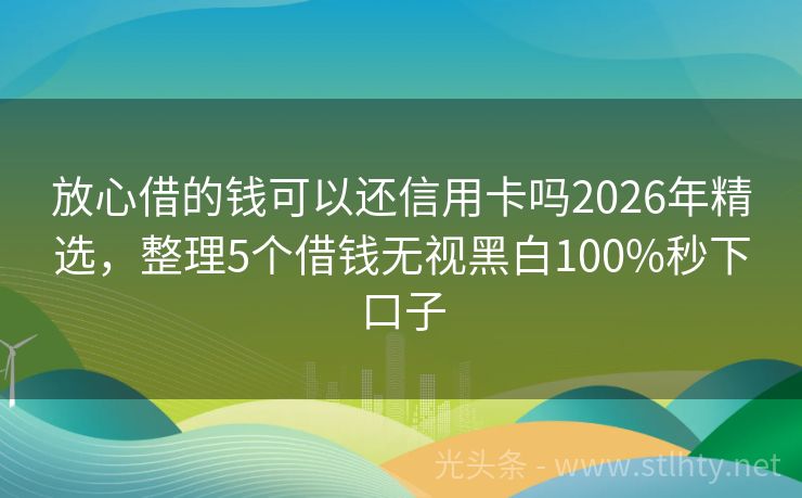 放心借的钱可以还信用卡吗2026年精选，整理5个借钱无视黑白100%秒下口子